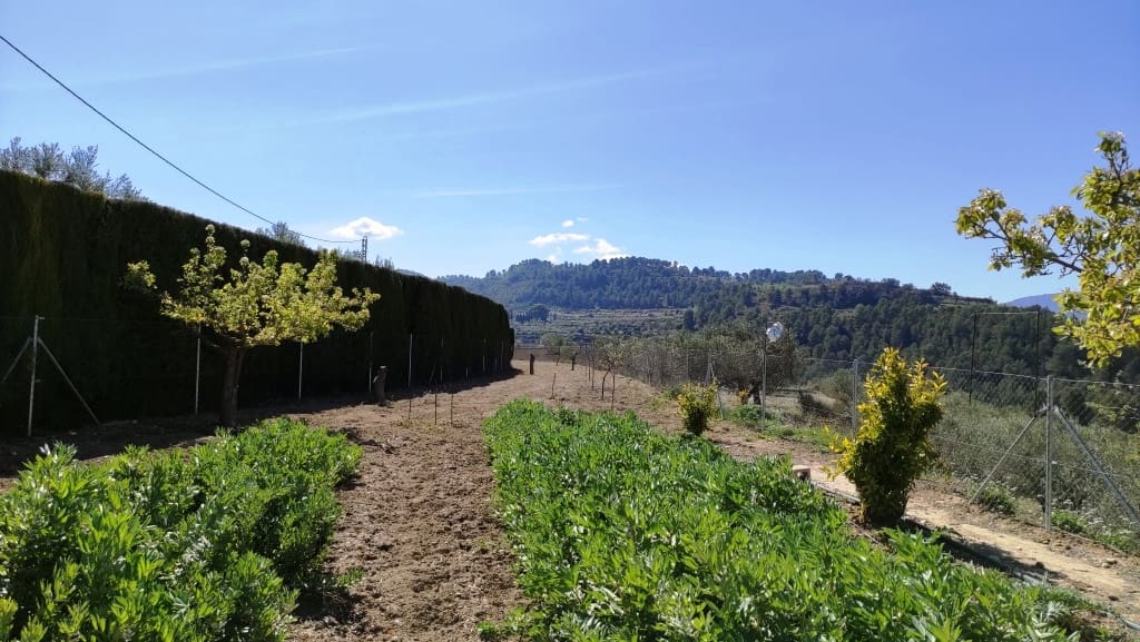 5 slaapkamer Villa te koop in Cocentaina met zwembad garage - € 299.000 (Ref: 6354259)