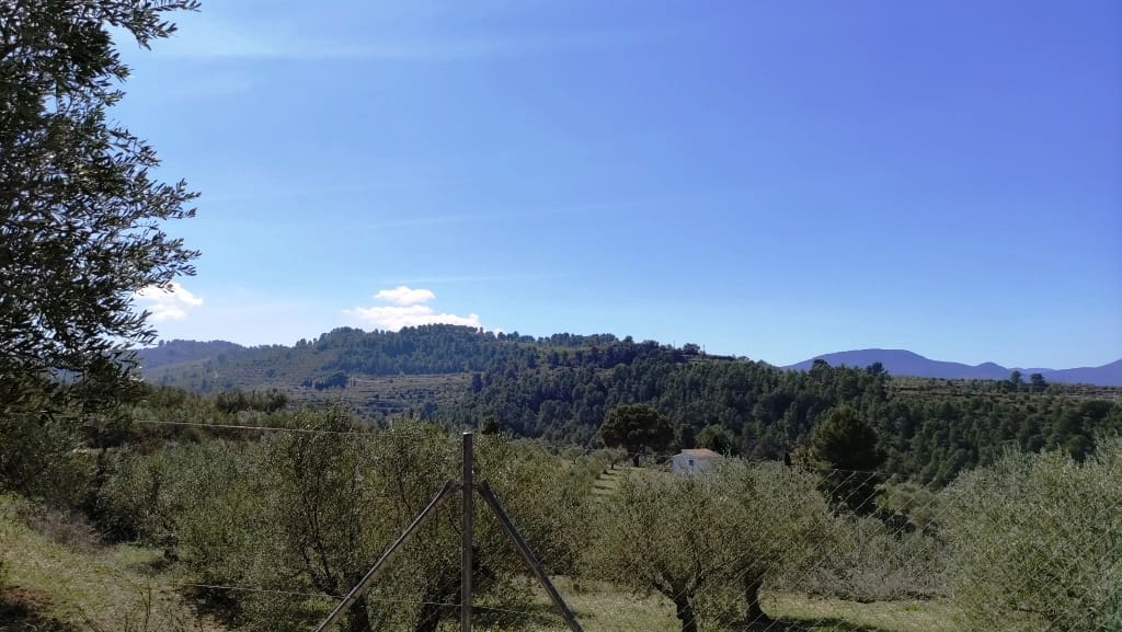 5 slaapkamer Villa te koop in Cocentaina met zwembad garage - € 299.000 (Ref: 6354259)