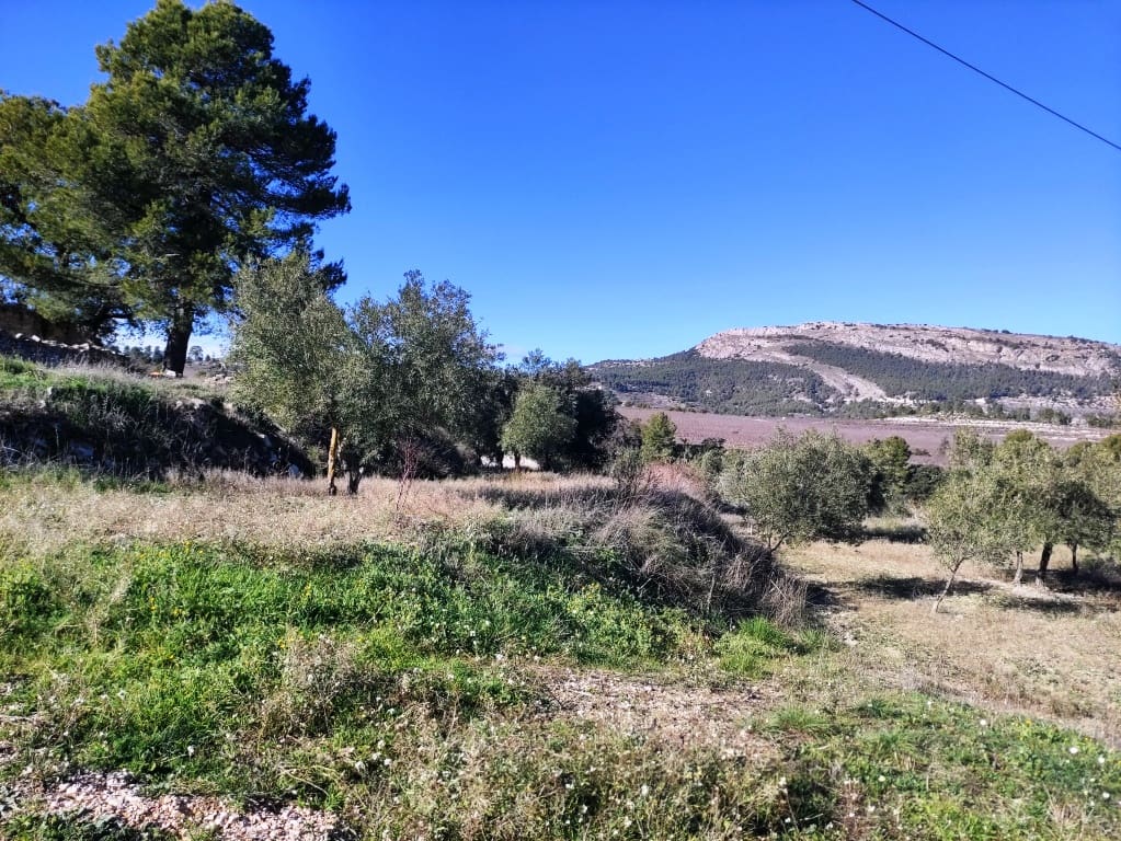 Finca/Casa Rural de 2 habitaciones en Benifallim en venta con garaje - 119.000 € (Ref: 6404285)