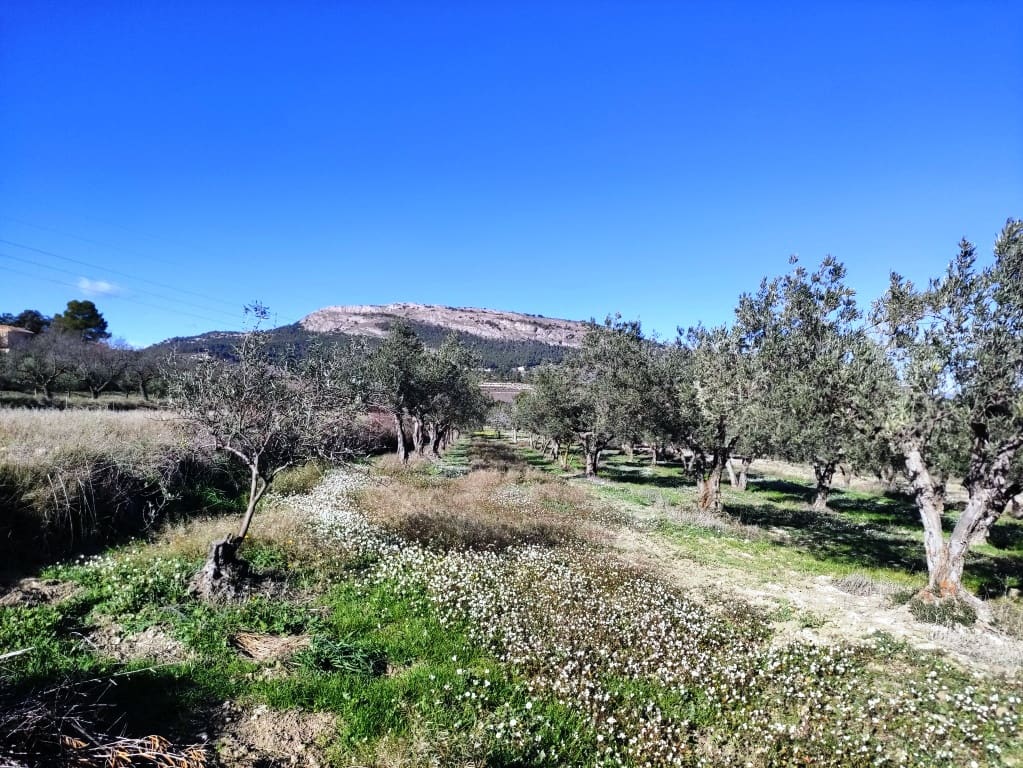 Finca/Casa Rural de 2 habitaciones en Benifallim en venta con garaje - 119.000 € (Ref: 6404285)