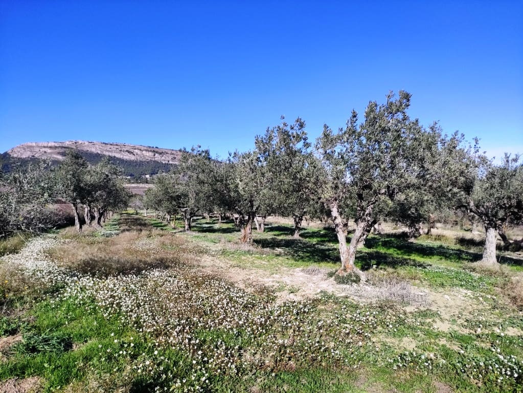 Finca/Casa Rural de 2 habitaciones en Benifallim en venta con garaje - 119.000 € (Ref: 6404285)