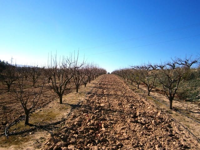 Finca/Country House for sale in Agullent - € 80,000 (Ref: 6404286)