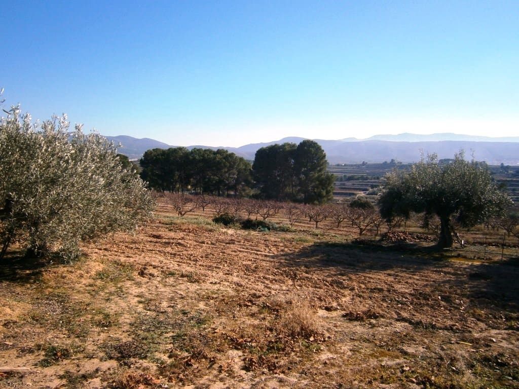 Finca/Landehus til salg i Agullent - € 80.000 (Ref: 6404286)