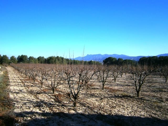 Finca/Country House for sale in Agullent - € 80,000 (Ref: 6404286)