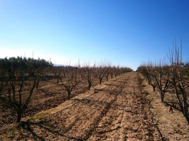 Finca/Country House for sale in Agullent - € 80,000 (Ref: 6404286)