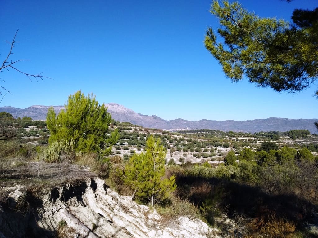 Byggegrund til salg i Benillup - € 35.000 (Ref: 6524149)