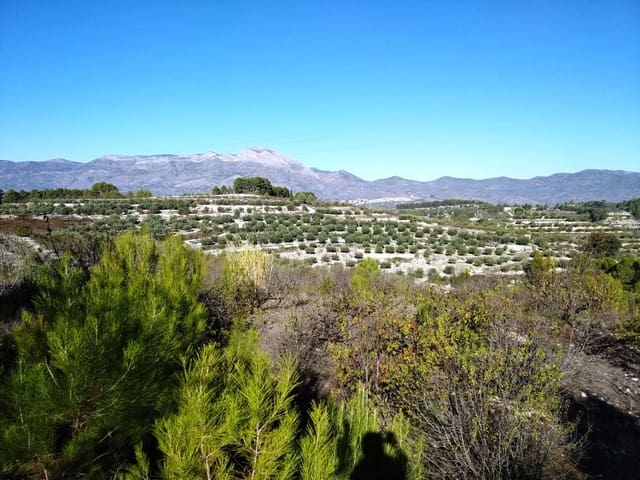 Bouwgrond te koop in Benillup - € 35.000 (Ref: 6524149)