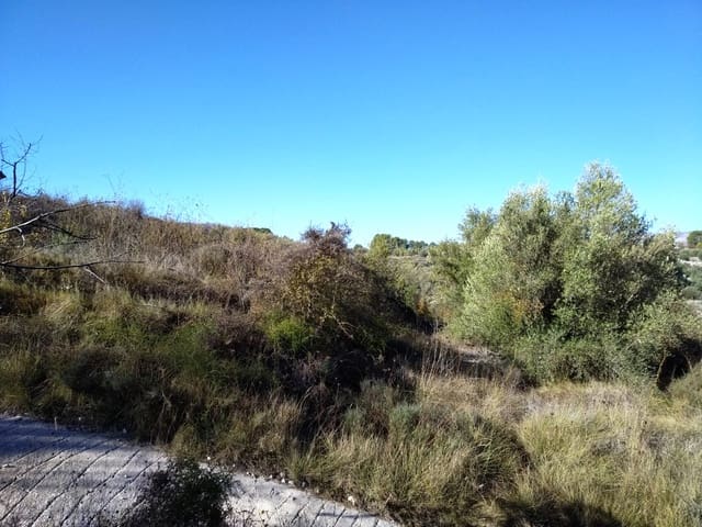 Bouwgrond te koop in Benillup - € 35.000 (Ref: 6524149)