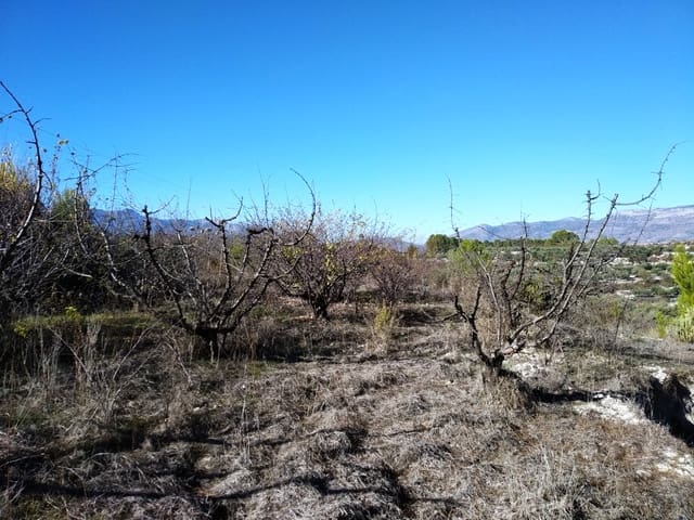 Bouwgrond te koop in Benillup - € 35.000 (Ref: 6524149)