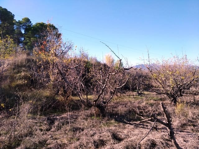 Bouwgrond te koop in Benillup - € 35.000 (Ref: 6524149)