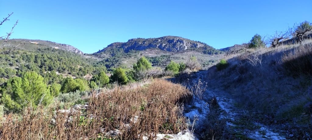 Grond te koop in Planes - € 120.000 (Ref: 6629815)