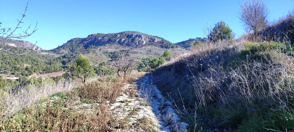 Grond te koop in Planes - € 120.000 (Ref: 6629815)