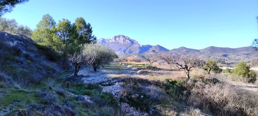 Grond te koop in Planes - € 120.000 (Ref: 6629815)