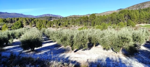 Landgrundstück zu verkaufen in Planes - 120.000 € (Ref: 6629815)