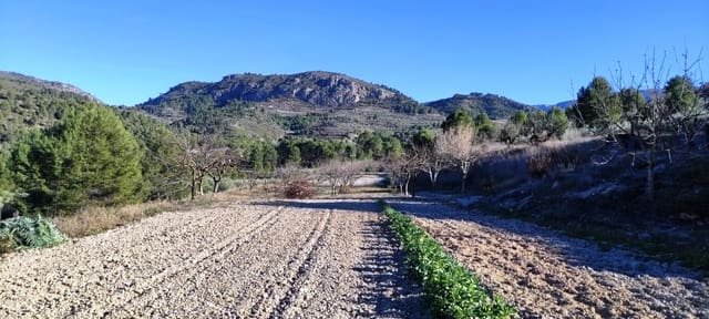 Landgrundstück zu verkaufen in Planes - 120.000 € (Ref: 6629815)