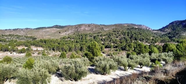 Landgrundstück zu verkaufen in Planes - 120.000 € (Ref: 6629815)