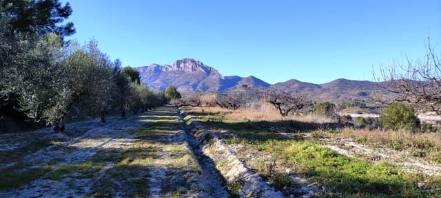 Landgrundstück zu verkaufen in Planes - 120.000 € (Ref: 6629815)