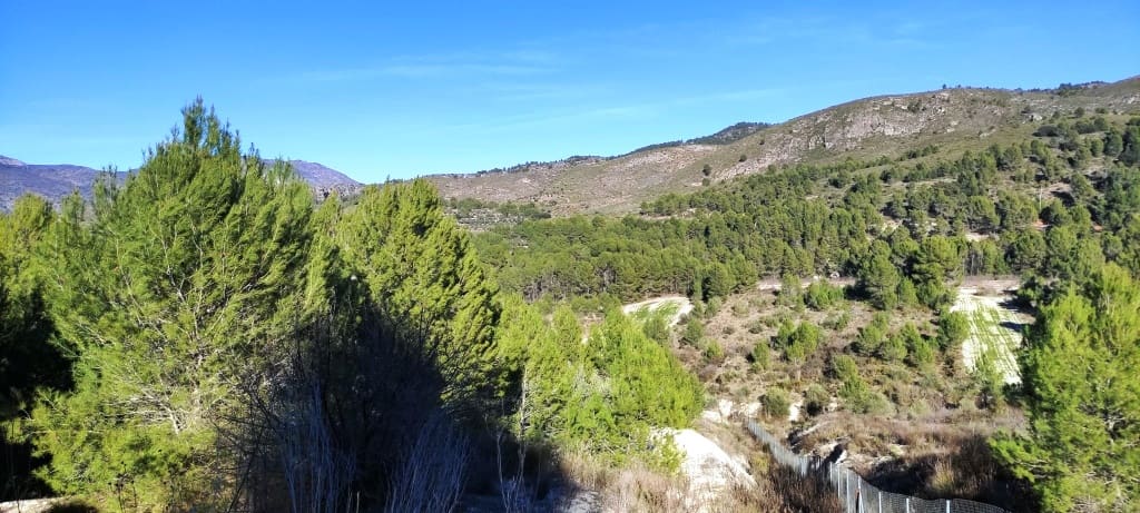 Grond te koop in Planes - € 120.000 (Ref: 6629815)