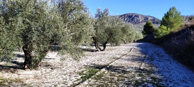 Landgrundstück zu verkaufen in Planes - 120.000 € (Ref: 6629815)