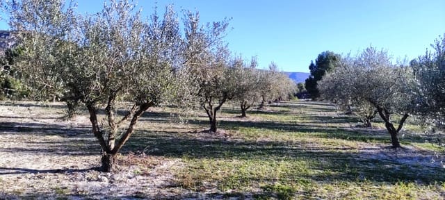 Landgrundstück zu verkaufen in Planes - 120.000 € (Ref: 6629815)