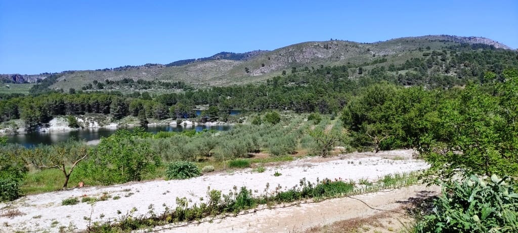 Grond te koop in Planes - € 120.000 (Ref: 6629815)