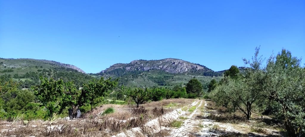 Grond te koop in Planes - € 120.000 (Ref: 6629815)