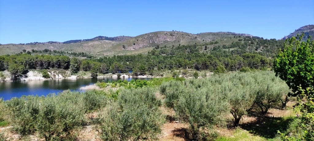 Grond te koop in Planes - € 120.000 (Ref: 6629815)