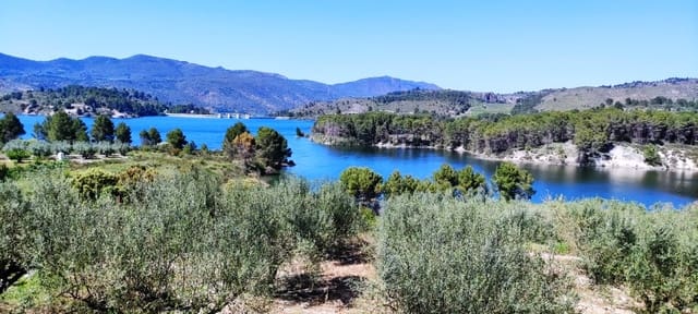 Landgrundstück zu verkaufen in Planes - 120.000 € (Ref: 6629815)