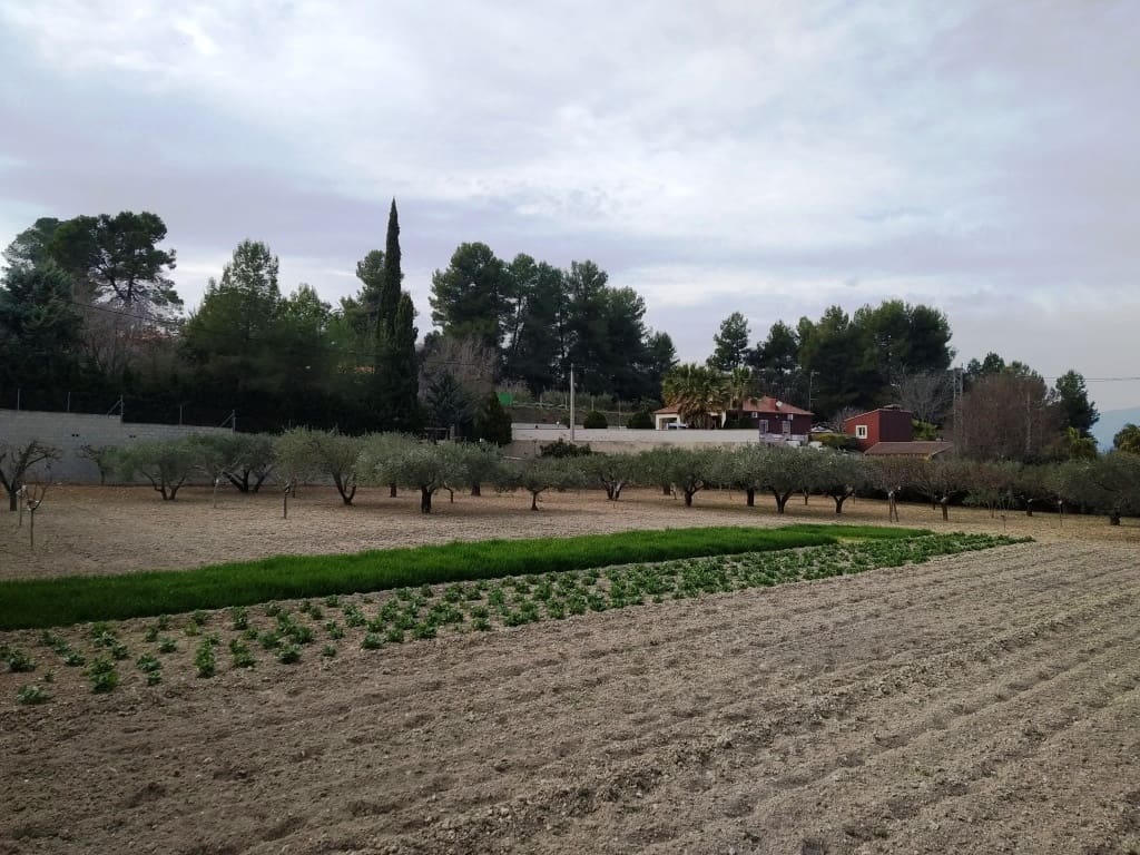 2 soveværelse Finca/Landehus til salg i Ontinyent med swimmingpool - € 198.000 (Ref: 6718906)