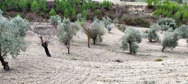 Ruïne te koop in Penàguila - € 50.000 (Ref: 6718907)