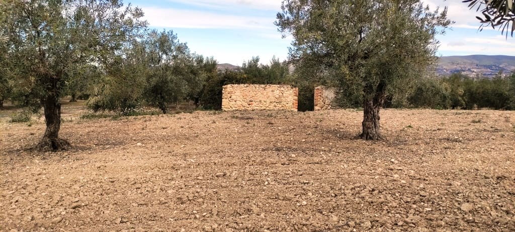 Ruin til salg i Penaguila - € 50.000 (Ref: 6718907)