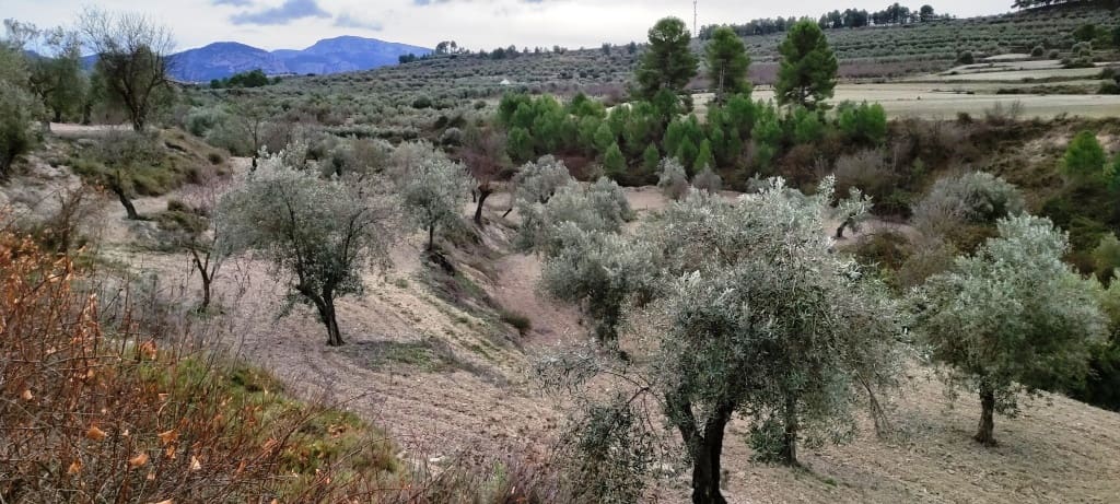 Ruin til salg i Penaguila - € 50.000 (Ref: 6718907)