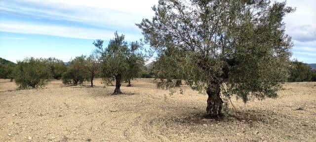 Ruïne te koop in Penàguila - € 50.000 (Ref: 6718907)