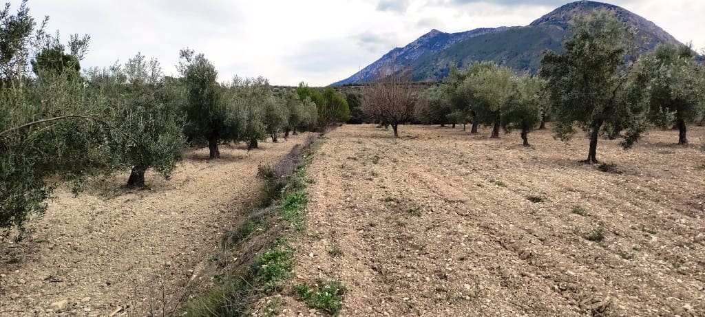 Ruin til salg i Penaguila - € 50.000 (Ref: 6718907)