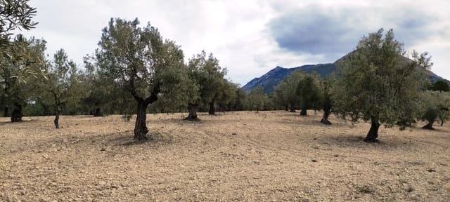 Ruïne te koop in Penàguila - € 50.000 (Ref: 6718907)