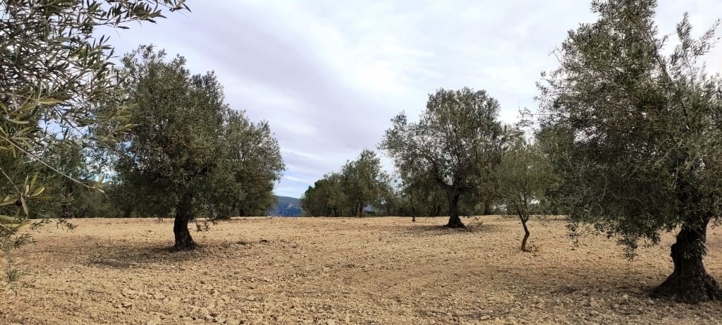 Ruin til salg i Penaguila - € 50.000 (Ref: 6718907)