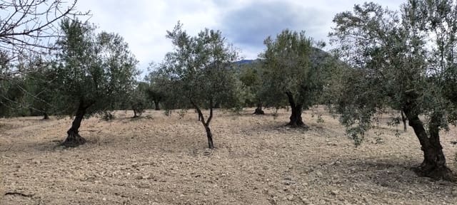 Ruïne te koop in Penàguila - € 50.000 (Ref: 6718907)