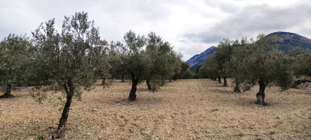 Ruin til salg i Penaguila - € 50.000 (Ref: 6718907)