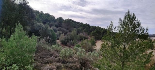 4 soverom Finca/Herregård til salgs i Bocairent med garasje - € 950 000 (Ref: 6724618)