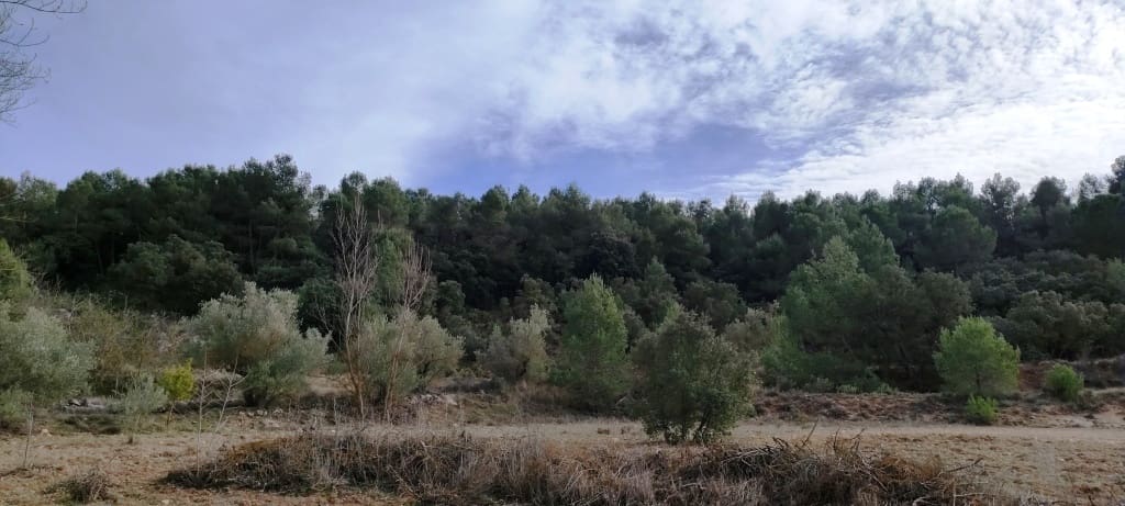 4 soverom Finca/Herregård til salgs i Bocairent med garasje - € 950 000 (Ref: 6724618)