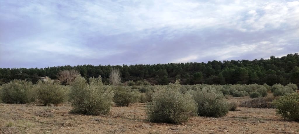 4 soverom Finca/Herregård til salgs i Bocairent med garasje - € 950 000 (Ref: 6724618)