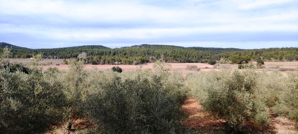 4 soverom Finca/Herregård til salgs i Bocairent med garasje - € 950 000 (Ref: 6724618)