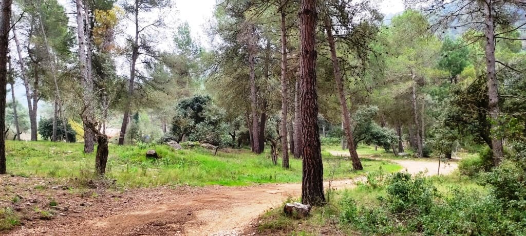 5 soveværelse Finca/Landehus til salg i Bocairent med garage - € 220.000 (Ref: 6782656)