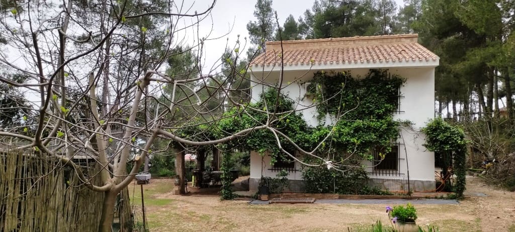 5 soveværelse Finca/Landehus til salg i Bocairent med garage - € 220.000 (Ref: 6782656)