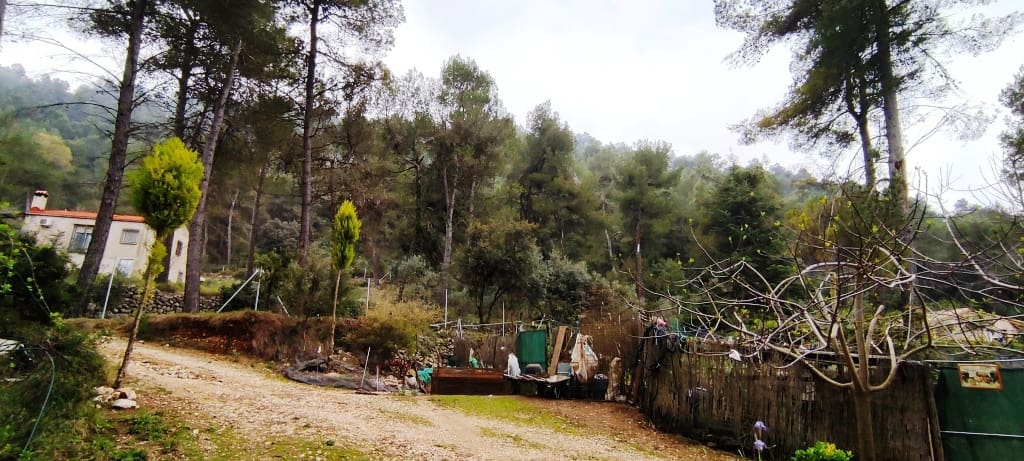 5 soveværelse Finca/Landehus til salg i Bocairent med garage - € 220.000 (Ref: 6782656)