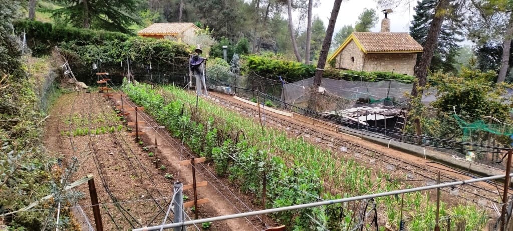 5 soveværelse Finca/Landehus til salg i Bocairent med garage - € 220.000 (Ref: 6782656)