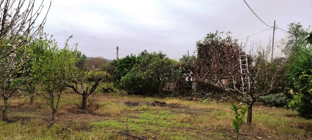 4 soveværelse Finca/Landehus til salg i Ontinyent med swimmingpool garage - € 250.000 (Ref: 6796874)