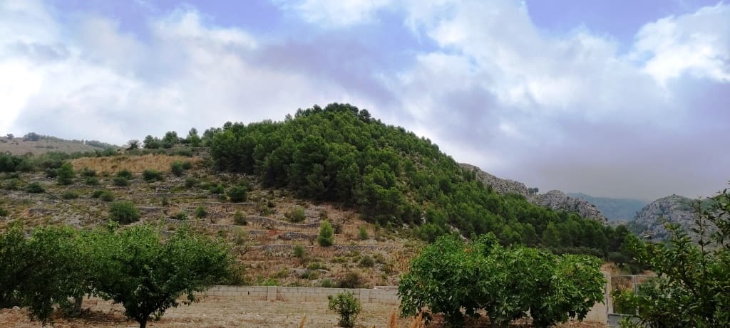 Byggegrund til salg i L'Orxa / Lorcha - € 190.000 (Ref: 6839865)