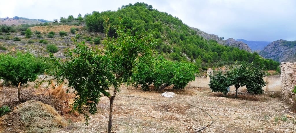 Byggegrund til salg i L'Orxa / Lorcha - € 190.000 (Ref: 6839865)