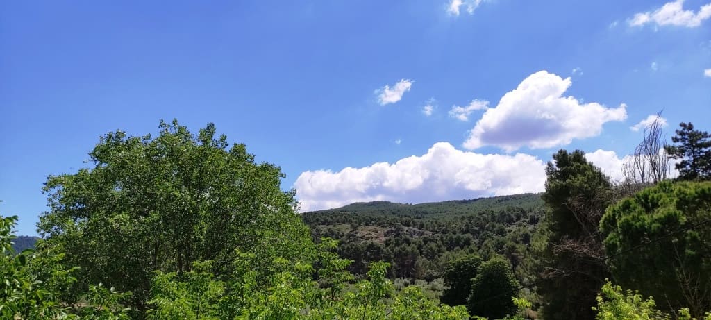 15 soveværelse Finca/Landehus til salg i Bocairent med swimmingpool garage - € 895.000 (Ref: 6923778)